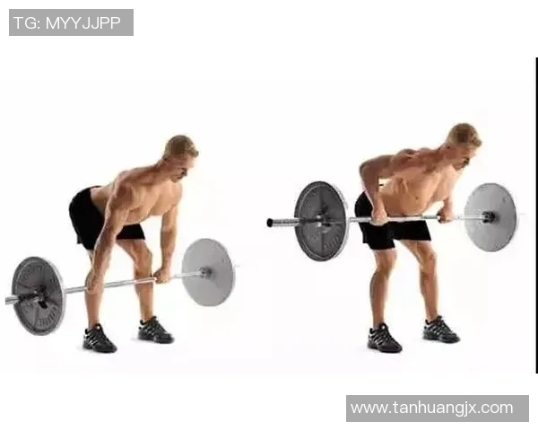 高拉力训练器使用技巧与背部肌肉全面训练方法解析