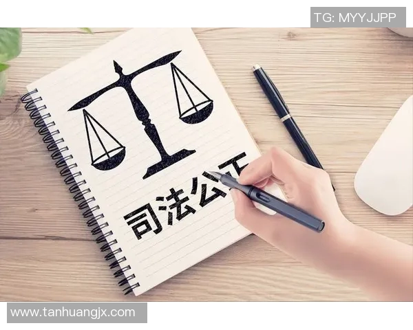 法律视角下的现代社会治理与司法公正的协同发展路径探讨